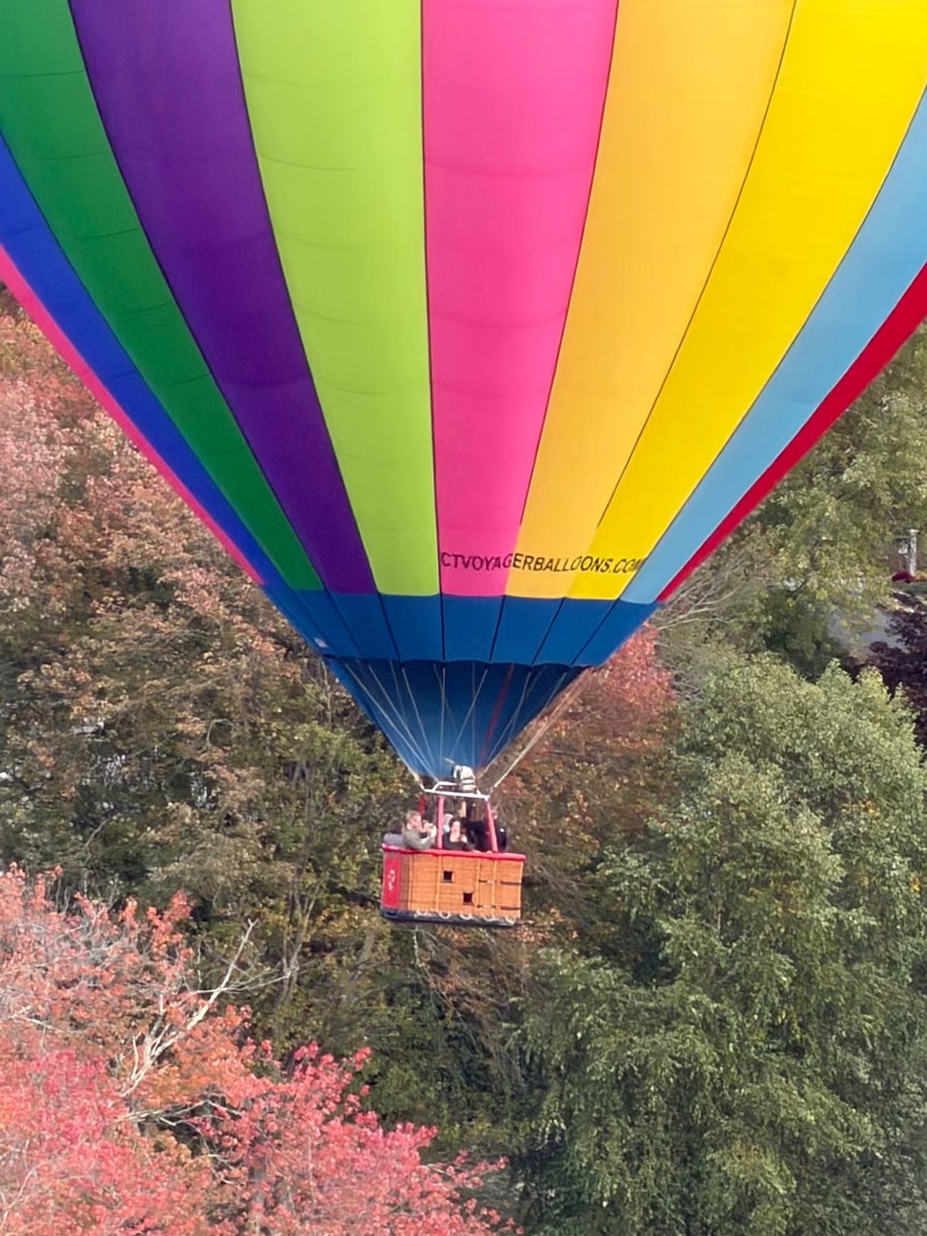 Woodstock apple-picking dispute reaches new heights